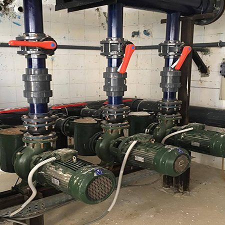 12941070_10208485120301164_2129914076_o ماى بولز